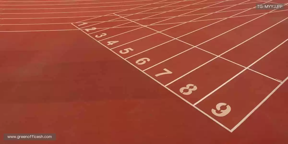 🏀✨ 巅峰对决,热血沸腾!